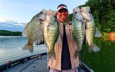 Best Crappie Lakes And Fishing Destinations In America Wired Fish