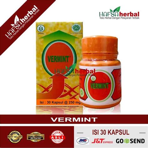 Vermint Kapsul Ekstrak Cacing Tanah Obat Tipes Typus Tipus Herbal Untuk