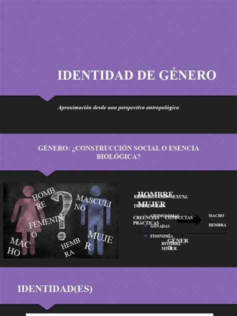 Identidad de Género | Descargar gratis PDF | Género | Estudios de género