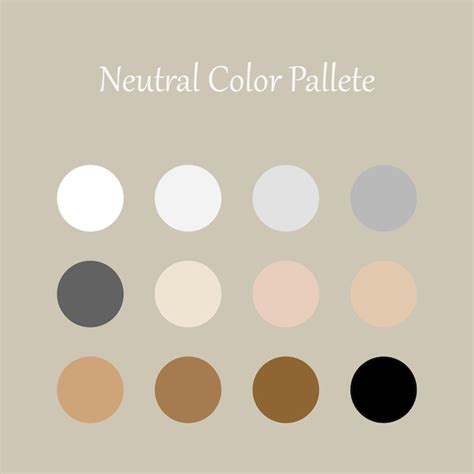 Premium Vector Set Of Neutral Color Palette Color Swatch For Fashion