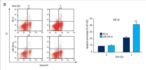 Figure 2 From Improved Radiotherapy Sensitivity Of Nasopharyngeal