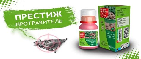Престиж для защиты здоровья картофеля - Наш частный дом