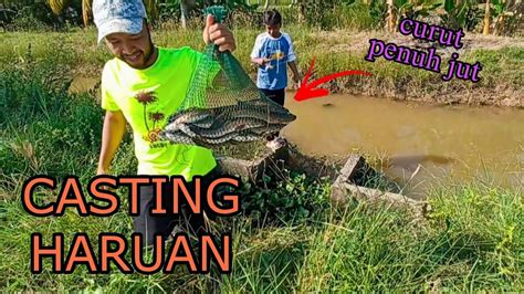 Ep Curut Curut Yang Ramah Casting Haruan Di Air Surut Youtube