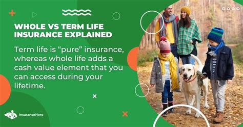 Whole Vs Term Life Insurance Guide 2024 Insurance Hero