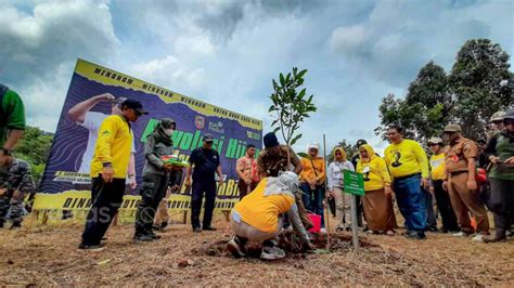 Hari Menanam Pohon Pemprov Kalsel Tanam Bibit Pohon Di