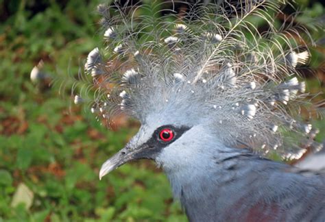 Ventures Bird Watching Natural History Tours