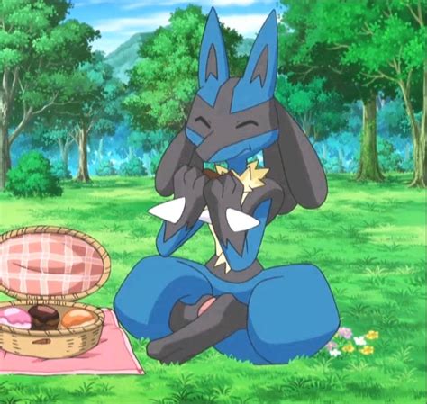 Pokemon Xy Lucario By On