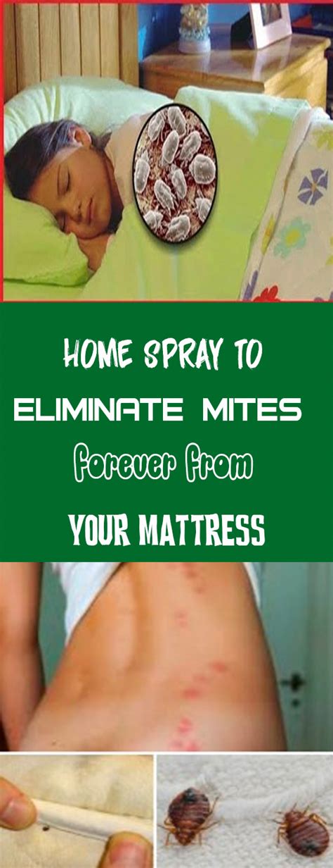 Home Spray To Eliminate Mites Forever From Your Mattress Wieghtloss Solution