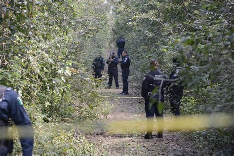 Macabro Hallazgo En La Colonia M Xico Descuartizados Entre La Maleza