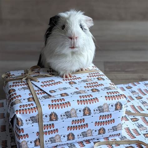 Guinea Pig Birthday T Wrap Wrapping Paper And T Tag Set Etsy