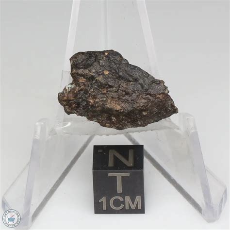 Nwa 1465 Meteorite 1465 48 The Meteorite Exchange Inc