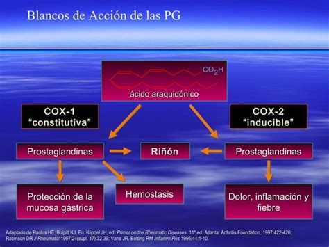 Fisiologia De La Prostaglandinas Ppt