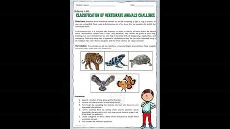 Dichotomous Key Create A Dichotomous Key To Identify Vertebrate Animals