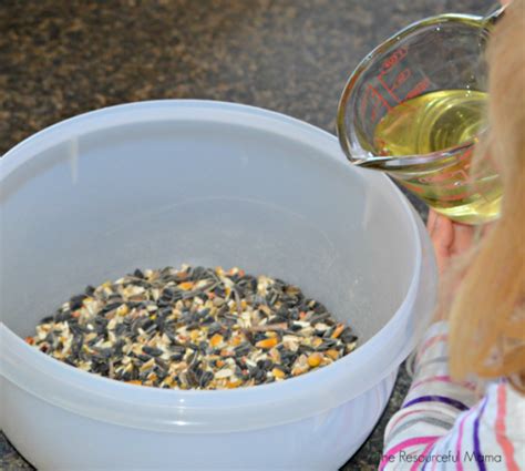 The Best Recipe For Bird Seed Ornaments The Resourceful Mama