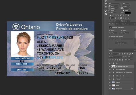 ontario driving license psd template driving license template