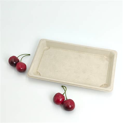 Disposable Degradable Sugarcane Bagasse Packaging Takeaway Sushi Tray