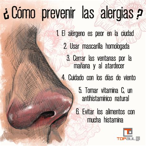 Recomendaciones Para Prevenir Las Alergias TOP Aul