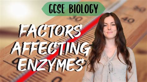 Factors Affecting Enzymes Gcse Biology Combined Sci Revision