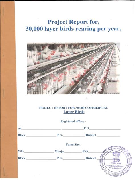 Layer Farm Project Report Pdf Pdf