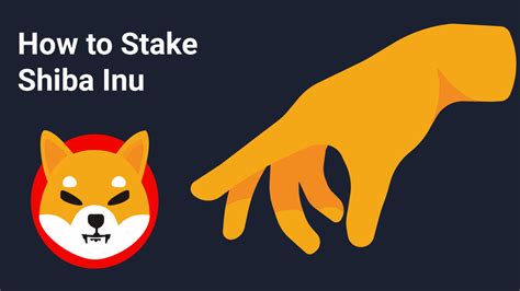 How To Stake Shiba Inu The Ultimate Guide Coinstats Blog