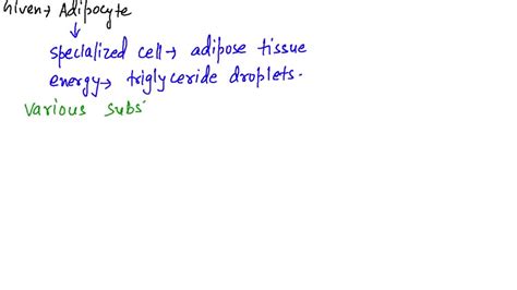 SOLVED:What is an aponeurosis? Give two examples.