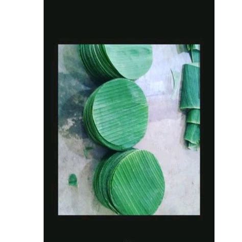 Jual Daun Pisang Bulat Fresh Diameter 20cm 10 Pcs Shopee Indonesia