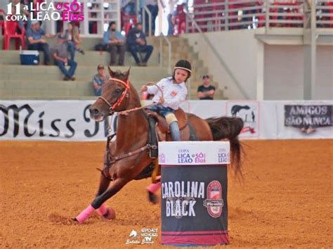 Cavalo Árabe exibe sua funcionalidade na 1ª etapa da Copa ABCCA ANCAF