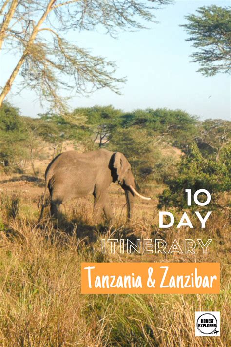 Tanzania and Zanzibar: A 10 Day In-depth Itinerary - Honest Explorer