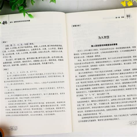 全2册 素书正版全集 每天懂一点人情世故原文书籍白话文版商务应酬技巧学会说话的分寸职场书为人处事现货完整版 无障碍阅读