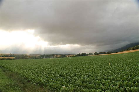 moris Mezcla de nubes y sol ésta mañana por Asparrena eitb eus Flickr