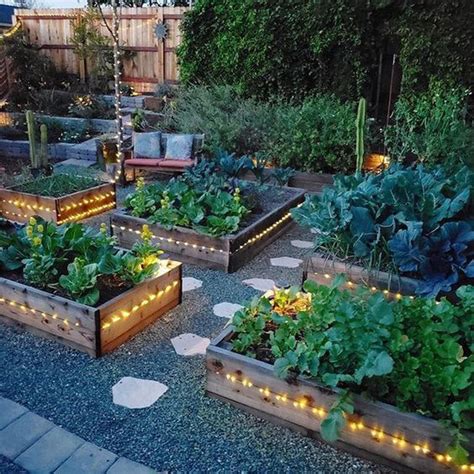 Easy Diy Gardening Ideas With Vegetables That Surprised You