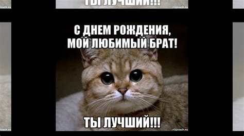 Любимому брату в день рождения. Я люблю тебя брат, лучшая песня брату ...