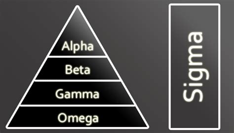 Sigma Male Definition & Personality Type