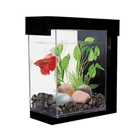 Le Meilleur Aquarium Classement Guide Dachat