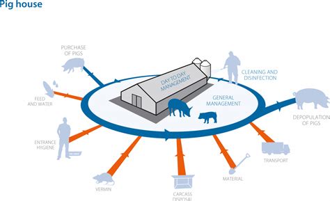 Critical Points On A Pig Farm General Management Cid Lines