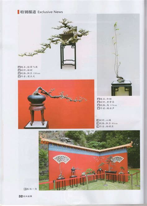 见刊——首届妈祖文化盆景展盛况刊载于《花木盆景》杂志 盆景自由讲 岭南盆景网 Powered By Discuz