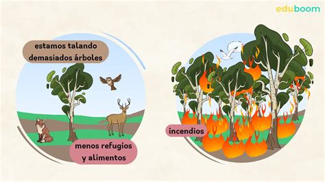 El Ser Humano Modifica Los Ecosistemas Ciencias De La Naturaleza 185344