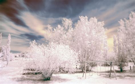 Hintergrundbilder Sonnenlicht B Ume Landschaft Schnee Winter Ast