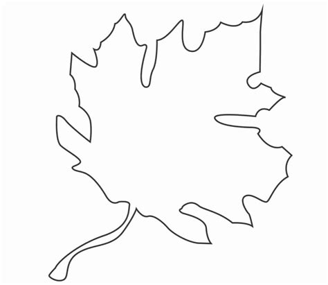 Maple Leaf Outline Printable