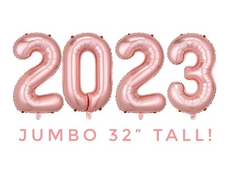 Graduation Decorations 2023 High School Graduation Balloons 2023 Pink ...