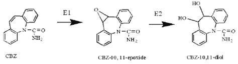 Reanalysis Of Carbamazepine And Carbamazepine Epoxide Pharmacokinetics