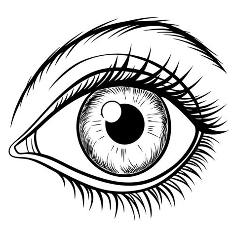 A drawing of a eye that has a black and white outline | Premium AI ...