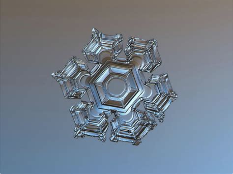 the endless repetition of an ordinary miracle.” | by Mohamed Salim ...