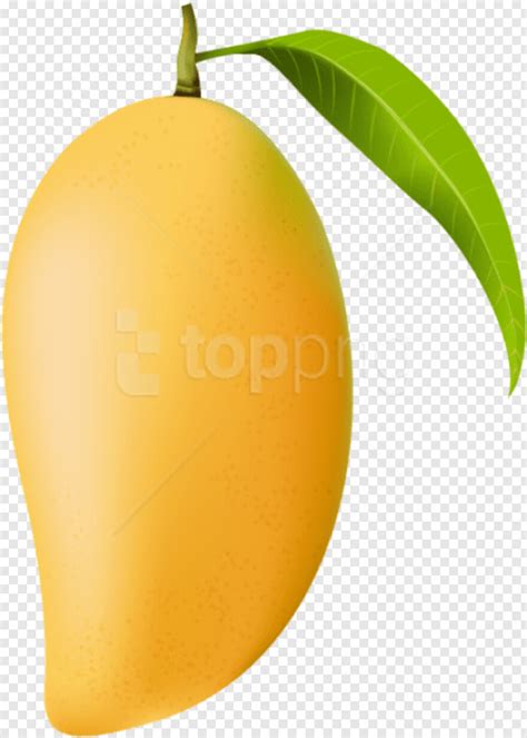 Mango Mango Slice Mango Clipart Mango Splash Raw Mango Green Mango