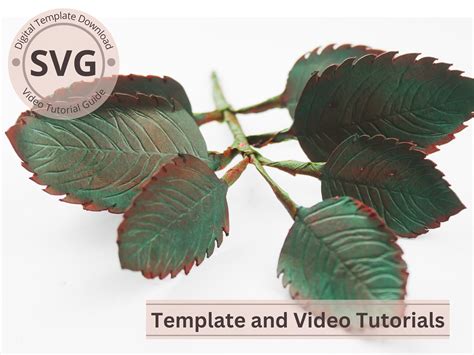 Paper Flower Rose Leaves Template Rose Leaves Digital Svg Video