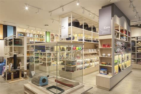 Pampered Petz Pet Store By Rptecture Architects Sydney Australia