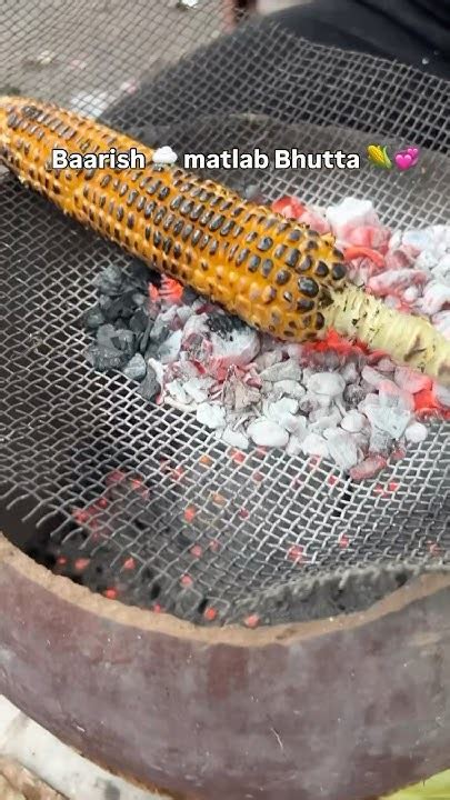 baarish  bhutta mouthwatering baarish bhutta mosaam