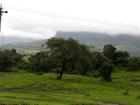 Agricultural Land Sq Ft For Sale In Trimbakeshwar Nashik Rei