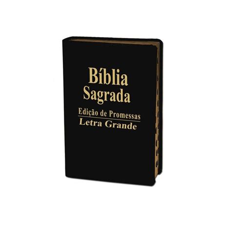 Biblia Sagrada Letra Grande Luxo Preta C Harpa Beecost