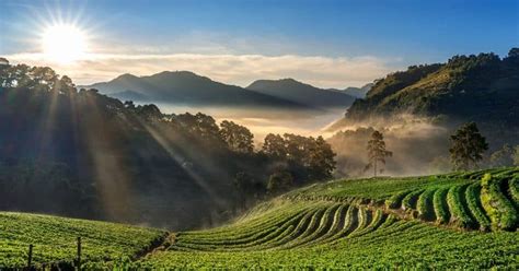 Entenda o que é o Sistema Nacional de Cadastro Ambiental Rural SICAR